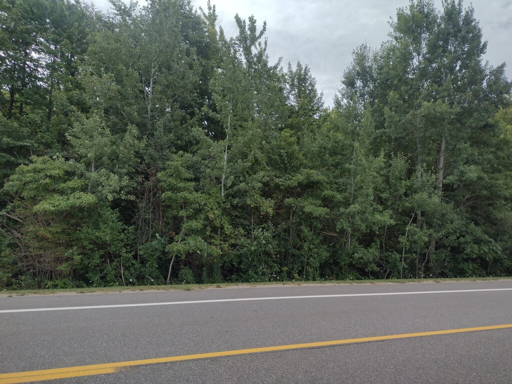 0000 Blue Star Hwy, Fennville, MI 49408 - photo 1