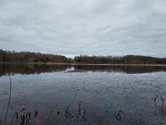 5424 W Oak Point Rd, Ludington, MI 49431