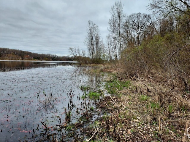 5424 W Oak Point Rd, Ludington, MI 49431