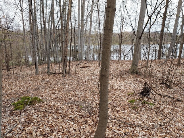 5424 W Oak Point Rd, Ludington, MI 49431