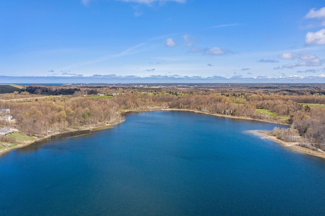 5424 W Oak Point Rd, Ludington, MI 49431