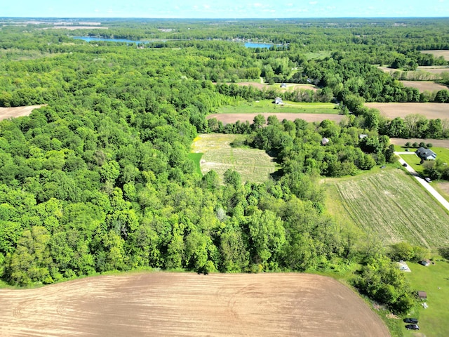 63362 Carver Rd, Vandalia, MI 49095