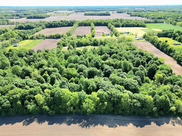 63362 Carver Rd, Vandalia, MI 49095
