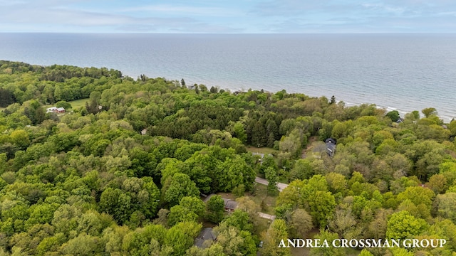 2095 Lakeshore Dr, Fennville, MI 49408 - photo 56