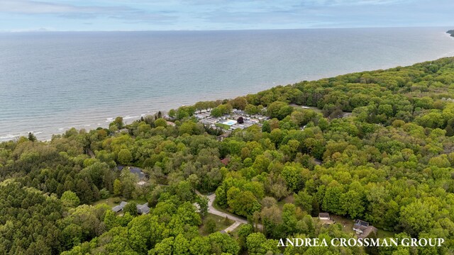 2095 Lakeshore Dr, Fennville, MI 49408 - photo 7