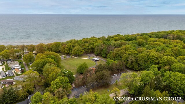2095 Lakeshore Dr, Fennville, MI 49408 - photo 57