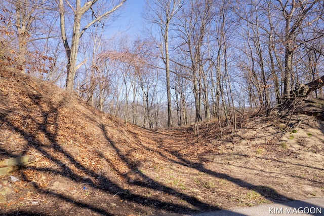 LOT45 Valleywood Ct, Holland, MI 49423
