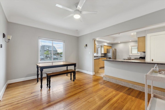3364 Inman St, Ferndale, MI 48220 - kitchen with freestanding refrigerator, dark countertops, light wood-type flooring, and baseboards