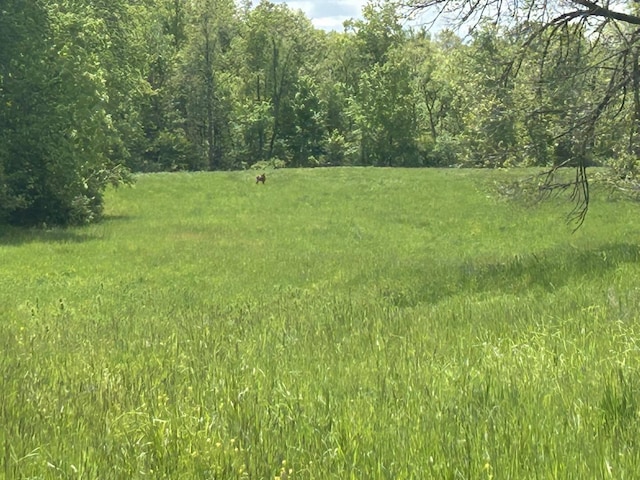 V/L Half Moon Lake Rd, Hillsdale, MI 49242