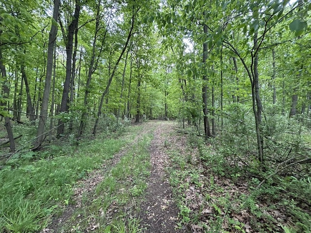 V/L Half Moon Lake Rd, Hillsdale, MI 49242