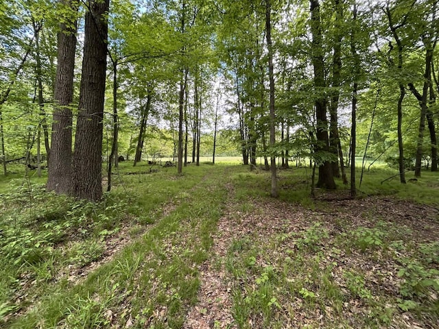 V/L Half Moon Lake Rd, Hillsdale, MI 49242
