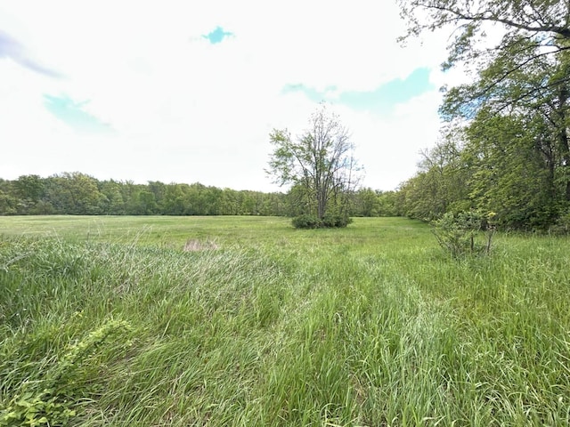 V/L Half Moon Lake Rd, Hillsdale, MI 49242