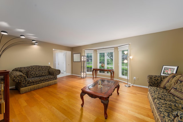 24609 Redwing Dr, Novi, MI 48374 - living area featuring light wood finished floors and baseboards