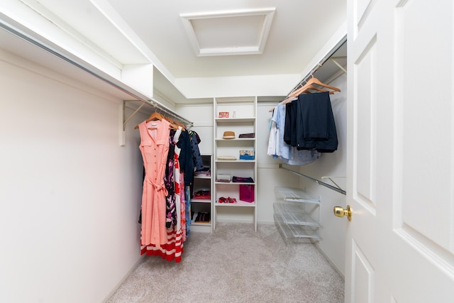24609 Redwing Dr, Novi, MI 48374 - spacious closet featuring carpet flooring and attic access