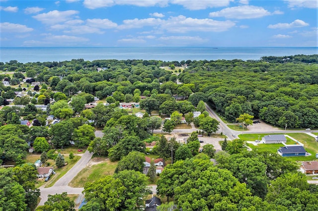 1010 N Rath Unit 1, Ludington, MI 49431