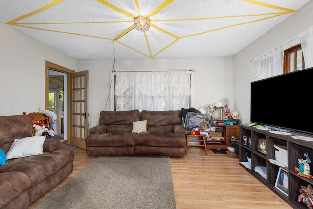 2113 Palace Ave SW, Grand Rapids, MI 49507 - living room featuring light wood-style flooring and french doors