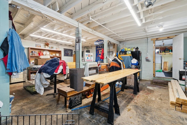 806 W Centre Ave, Portage, MI 49024 - below grade area with a workshop area