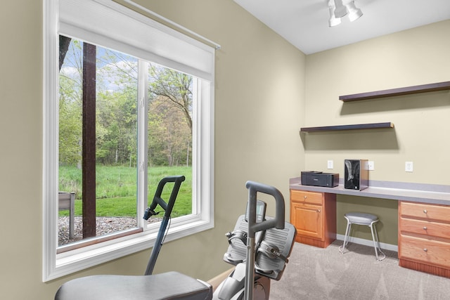 121 W Calgary Dr, Hastings, MI 49058 - office with light carpet and baseboards