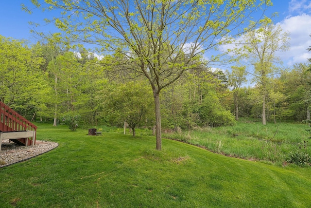 121 W Calgary Dr, Hastings, MI 49058 - view of green lawn featuring a wooded view