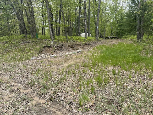 9846 W Oxpath, Baldwin, MI 49304