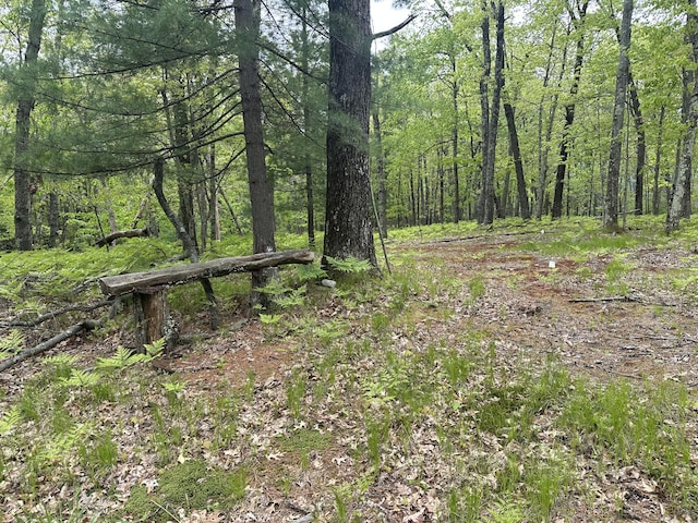 9846 W Oxpath, Baldwin, MI 49304