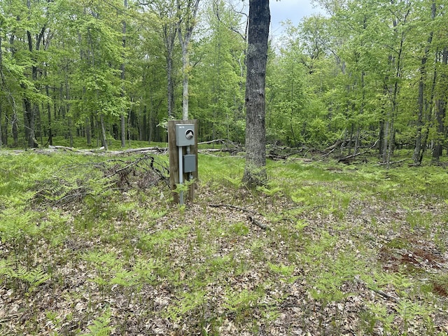 9846 W Oxpath, Baldwin, MI 49304