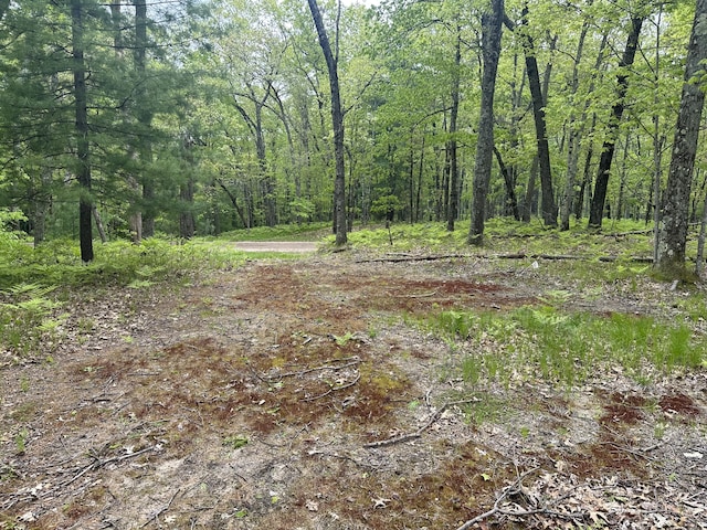 9846 W Oxpath, Baldwin, MI 49304