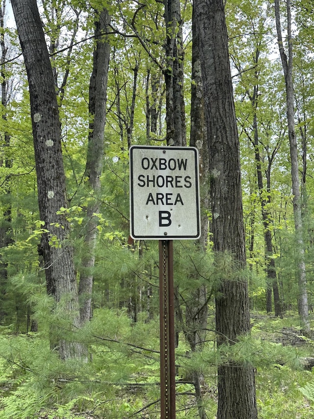 00 Oxpath, Baldwin, MI 49304