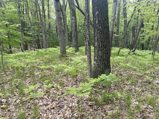 00 Oxpath, Baldwin, MI 49304