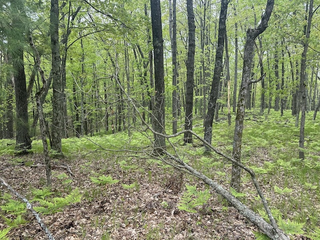 00 Oxpath, Baldwin, MI 49304