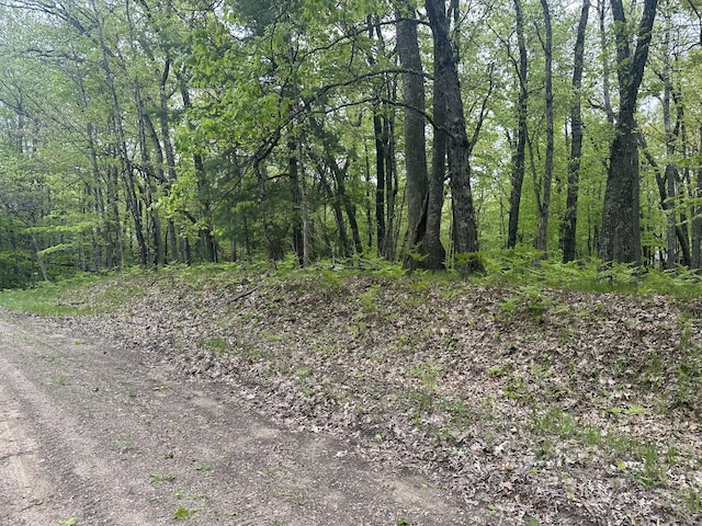 00 Oxpath, Baldwin, MI 49304