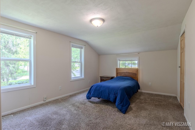 4175 Huntington Ave NE, Grand Rapids, MI 49525 - carpeted bedroom featuring multiple windows, lofted ceiling, and baseboards