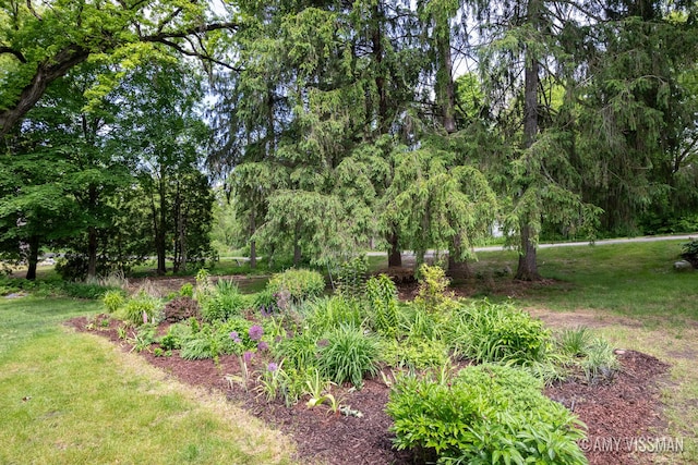 4175 Huntington Ave NE, Grand Rapids, MI 49525 - view of grassy yard