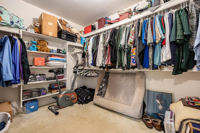 3311 Hickory Dr, Lake Orion, MI 48359 - spacious closet featuring carpet