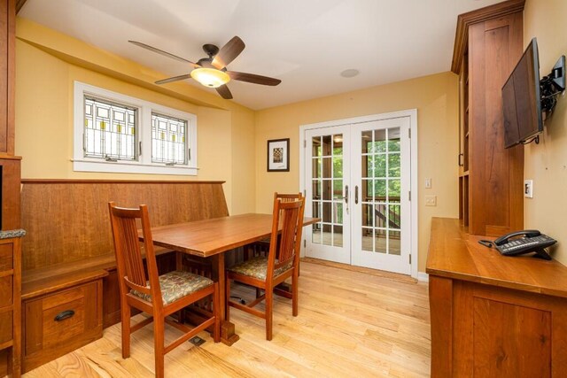 4936 Ravine Ct, Ann Arbor, MI 48105 - dining room with french doors, plenty of natural light, and light wood-style floors