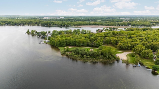 LOT20 Vineyard Ln, Brooklyn, MI 49230