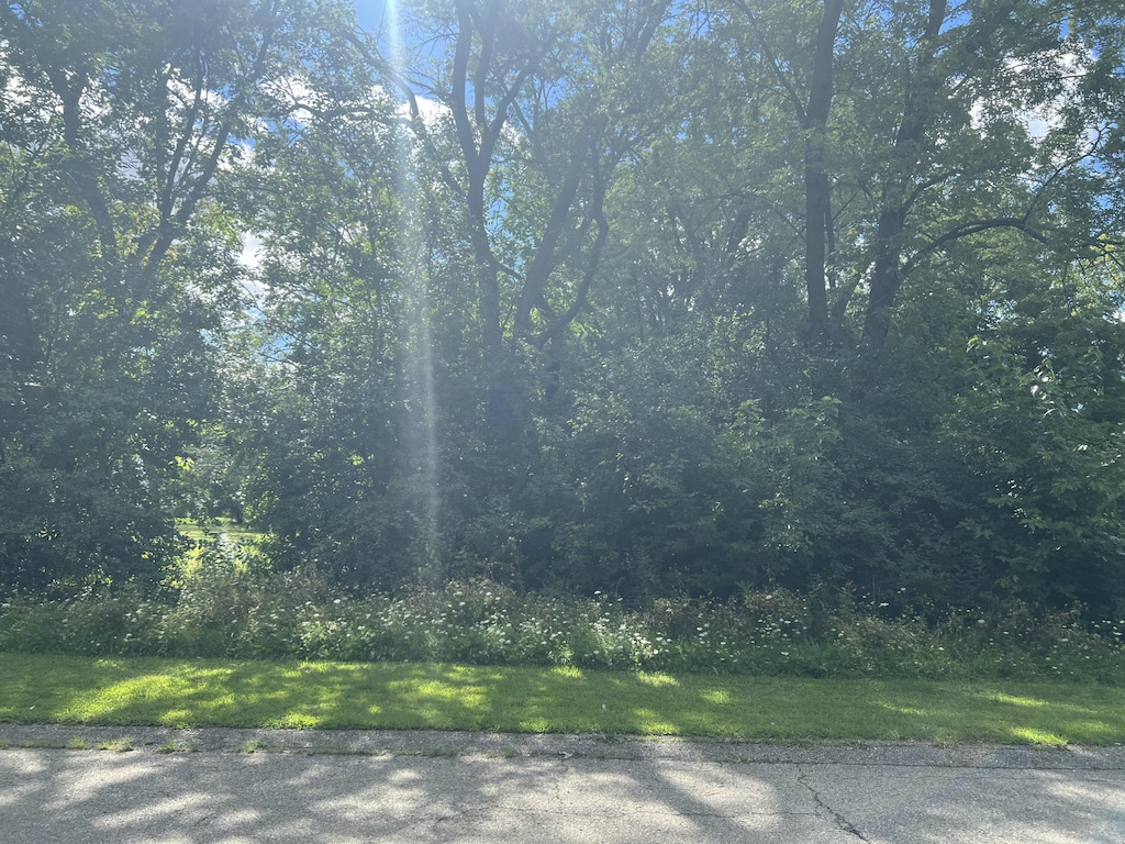 W Warner Ave, Ypsilanti, MI 48197 - photo 2