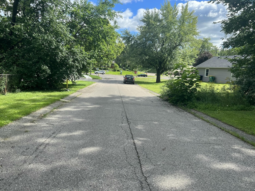 W Warner Ave, Ypsilanti, MI 48197 - photo 3