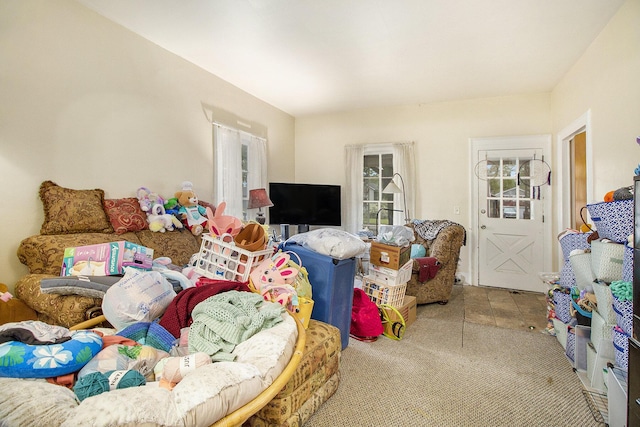 244 W Franklin St, Otsego, MI 49078 - living room featuring carpet flooring