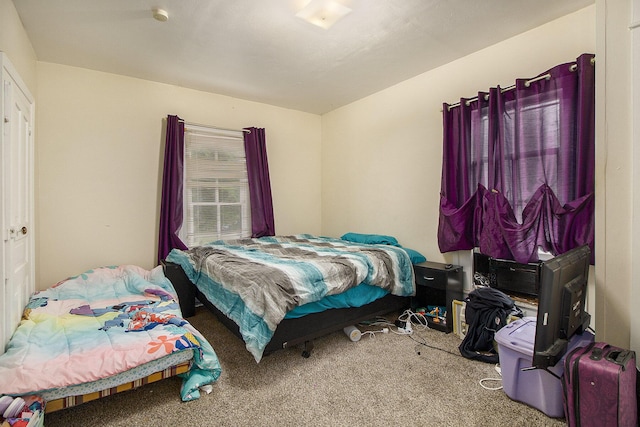 244 W Franklin St, Otsego, MI 49078 - bedroom with carpet floors