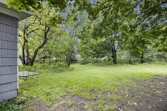 244 W Franklin St, Otsego, MI 49078 - view of yard