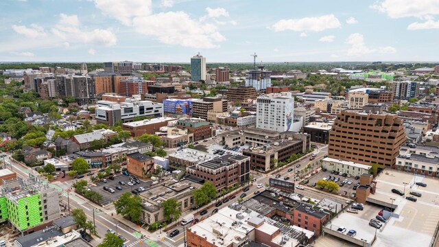 211 W Kingsley St, Ann Arbor, MI 48103 - view of urban area