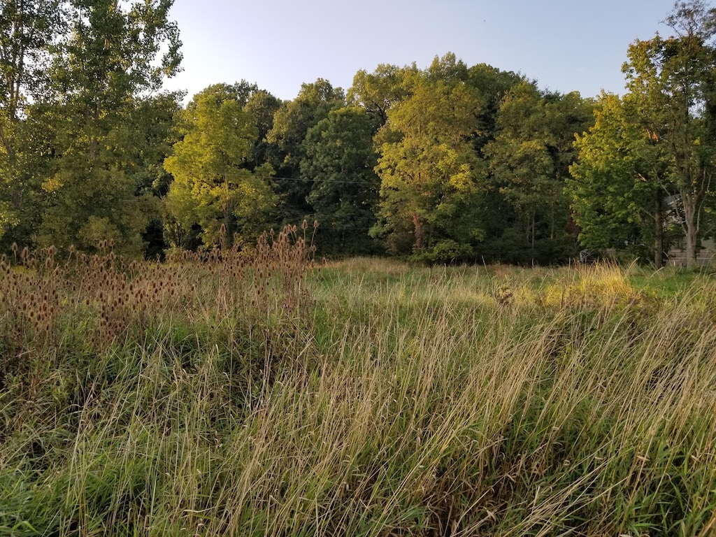 7000 Surrey Dr, Onsted, MI 49265