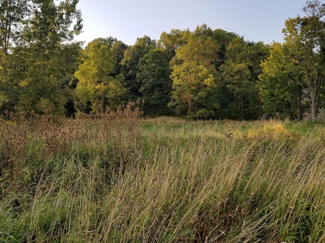 7000 Surrey Dr, Onsted, MI 49265