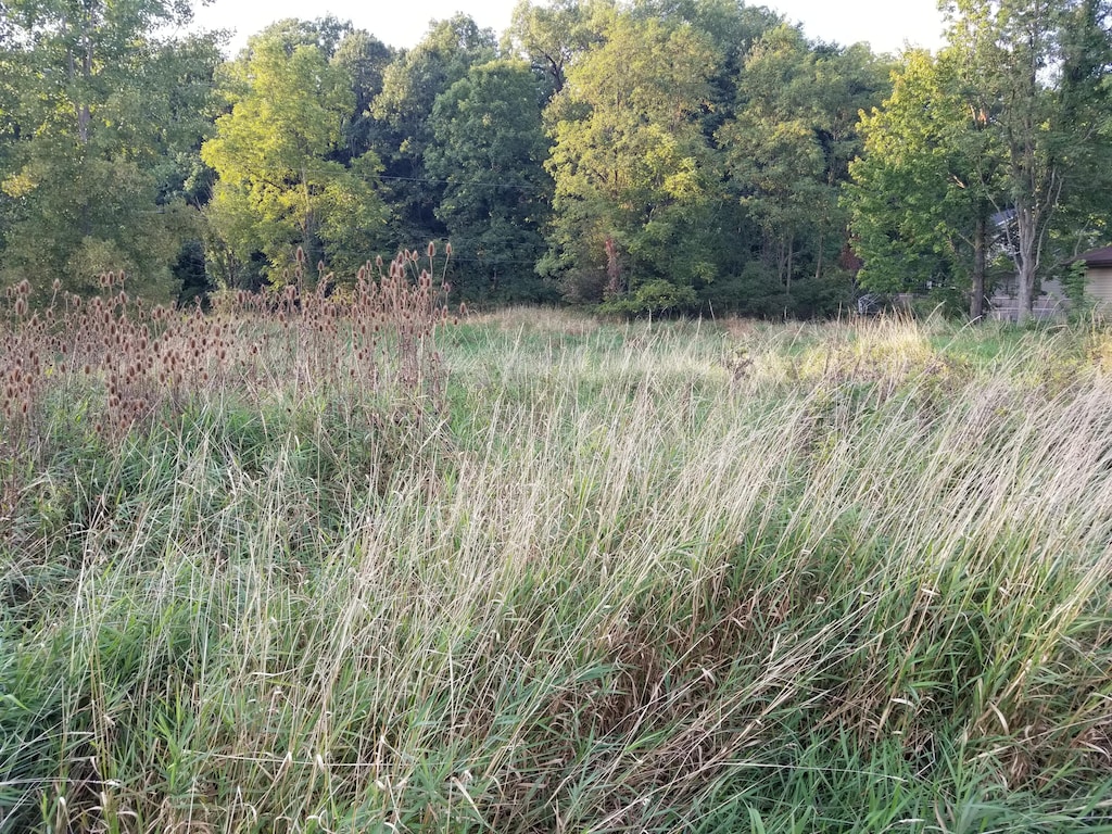 7000 Surrey Dr, Onsted, MI 49265