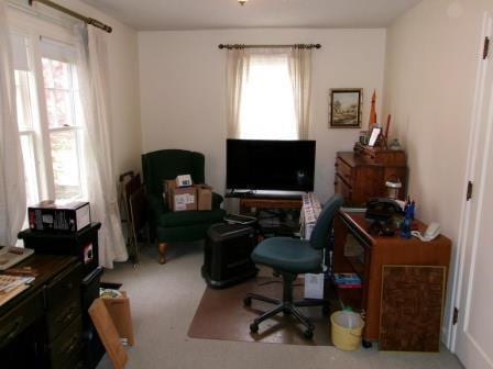98 Reading Ave, Hillsdale, MI 49242 - view of carpeted home office