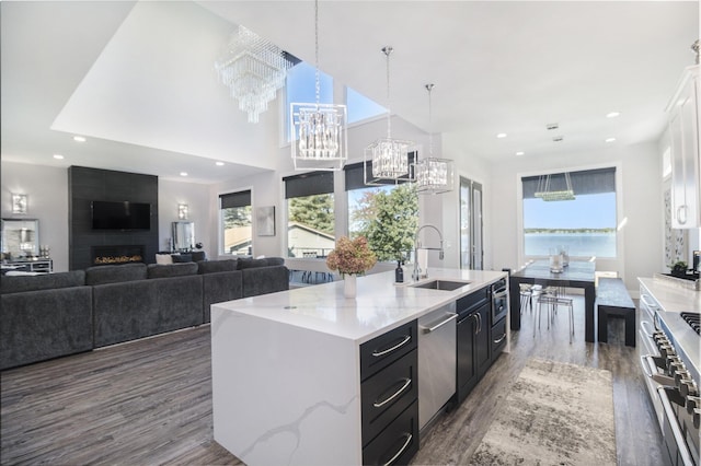104 Highview Ct, Brooklyn, MI 49230 - kitchen with a sink, appliances with stainless steel finishes, a chandelier, wood finished floors, and a center island with sink