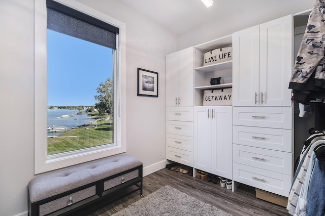 104 Highview Ct, Brooklyn, MI 49230 - walk in closet with dark wood-type flooring
