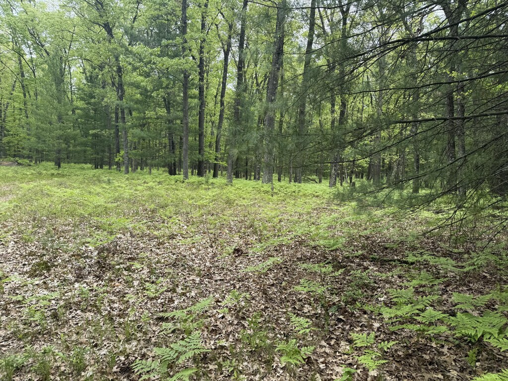 8616 Katie Ln, Baldwin, MI 49304