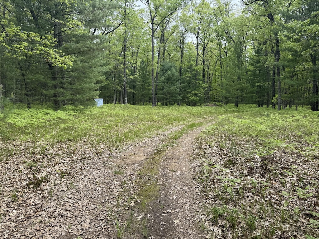 8616 Katie Ln, Baldwin, MI 49304